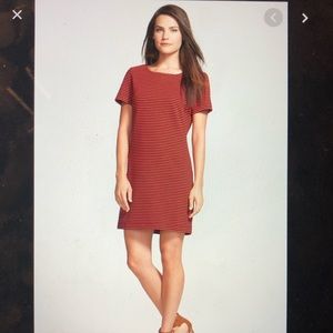 Splendid red and black striped shift dress, large